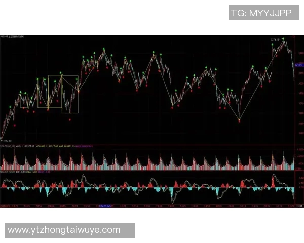 上海篮球队中路突破战术分析及其得失评估
