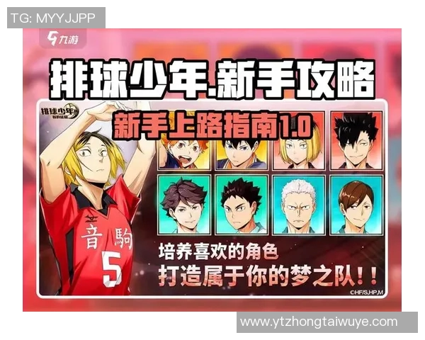 排球新手必看全方位实力提升攻略与入门技巧分享