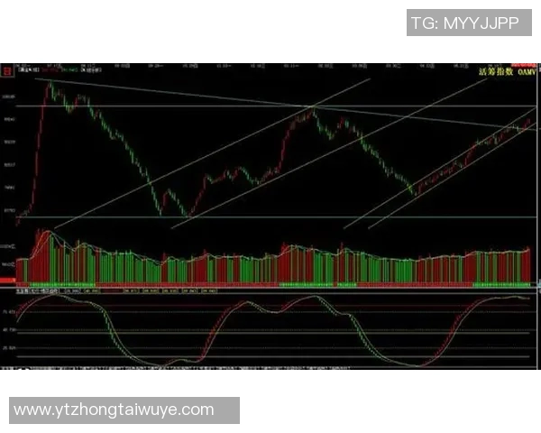 体育实时数据上海篮球队中路突破战术分析及其得失评估
