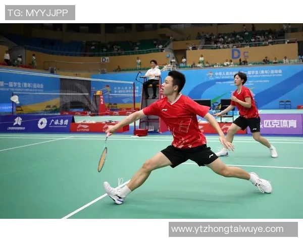 体育实时数据羽毛球传奇陈娜的奋斗历程与职业生涯深度对话