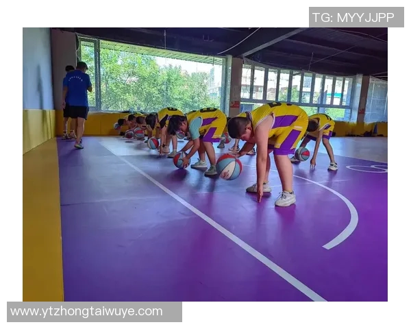 吴丽独家分享篮球心得与技巧助你提升球技的秘密秘籍实时数据