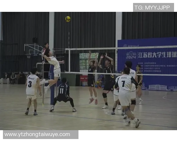 运动数据排球意识排行榜揭晓北京排球队荣获第三名展现强劲实力 运动数据排球意识排行榜揭晓北京排球队荣获第三名展现强劲实力