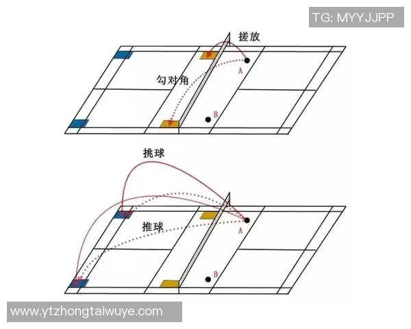 运动最新数据深入分析南京羽毛球队战术特点与比赛策略的探讨 运动最新数据深入分析南京羽毛球队战术特点与比赛策略的探讨