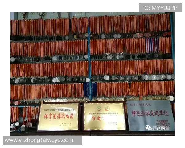 今年运动数据张伟独家篮球心得分享从基础技巧到实战经验的全面解析与提升之道